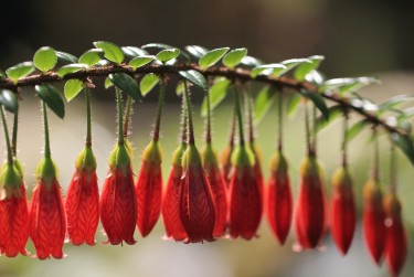 东莞高埗私人快速借钱网，轻松解决资金难题