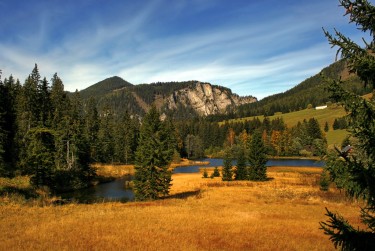 东莞高埗民间私贷攻略：揭秘低成本借贷的秘密