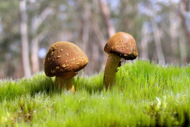 东莞高埗私人老板放款：轻松融资的秘密通道